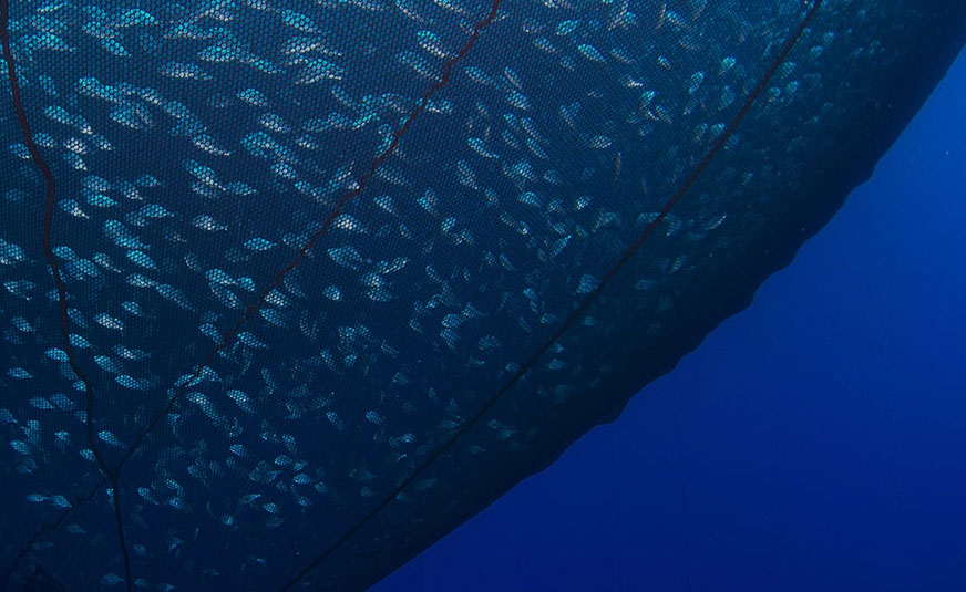 fishing-and-aquaculture-nets