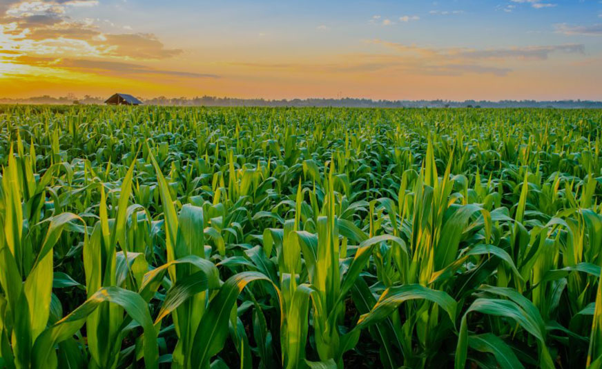 industrial-and-agriculture