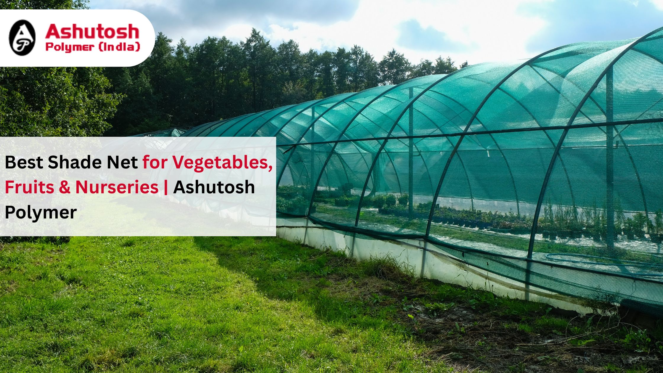 Best Shade Net for Vegetables, Fruits & Nurseries | Ashutosh Polymers