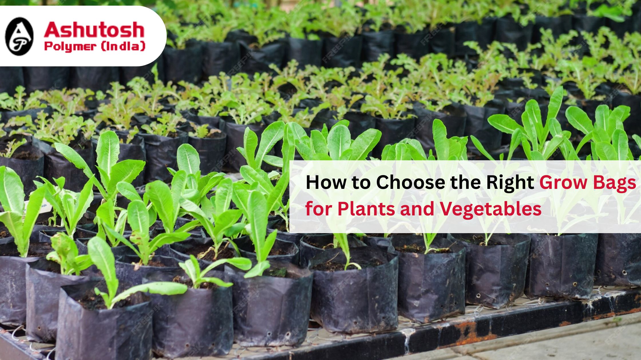 How to Choose the Right Grow Bags for Your Plants and Vegetables