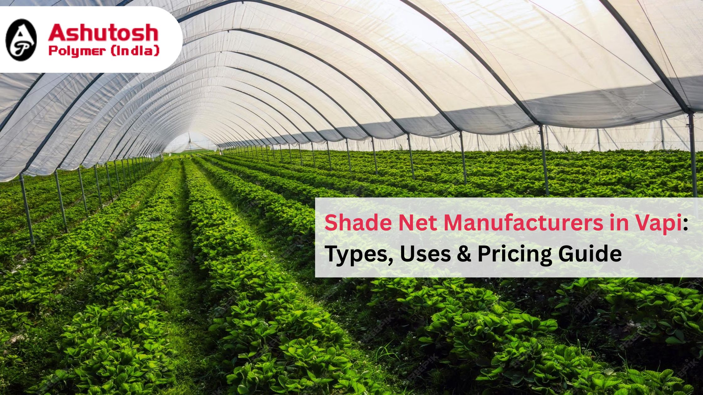Shade Net Manufacturers in Vapi: Types, Uses & Pricing Explained