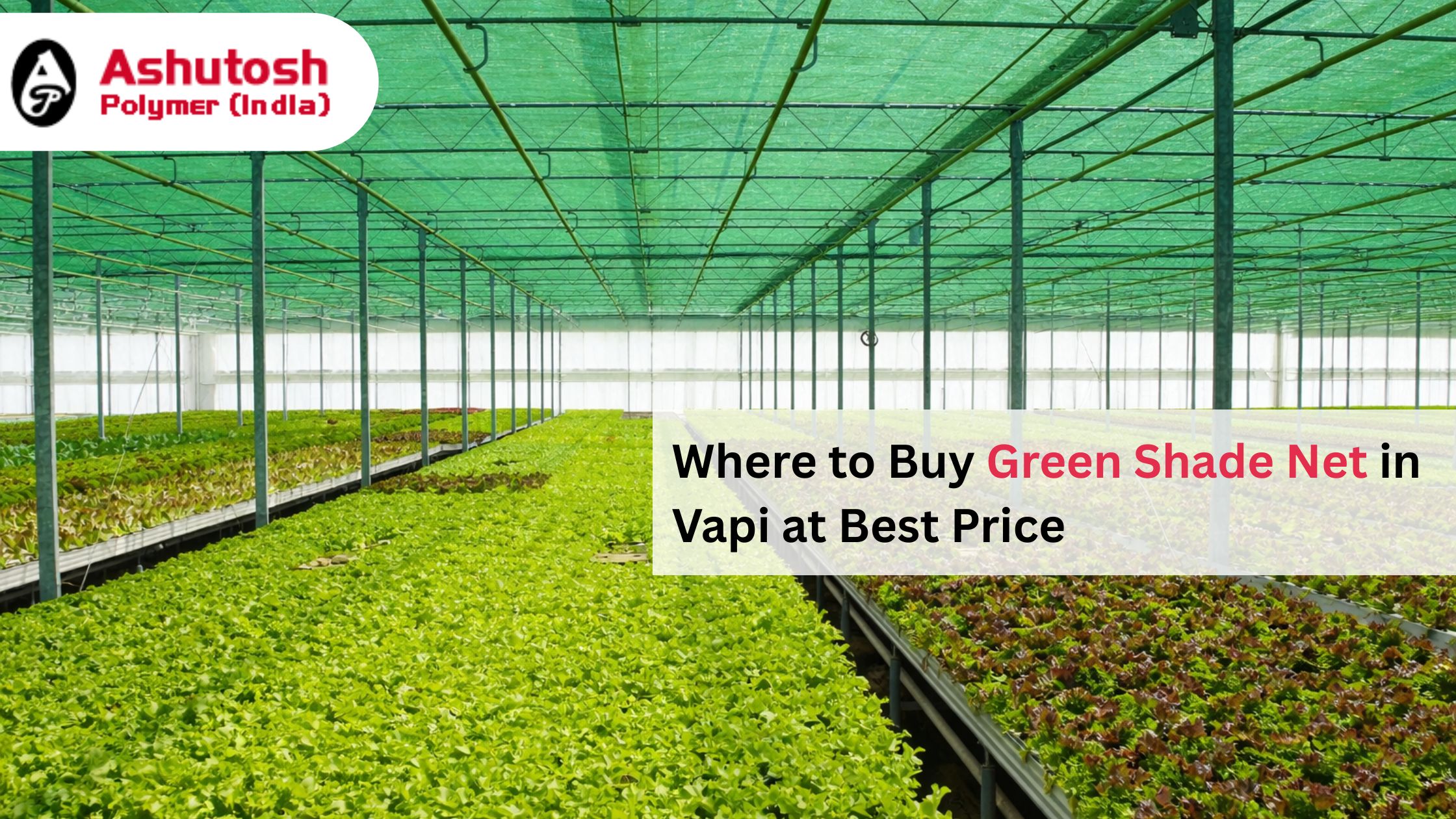 Where to Buy Green Shade Net in Vapi at Best Price