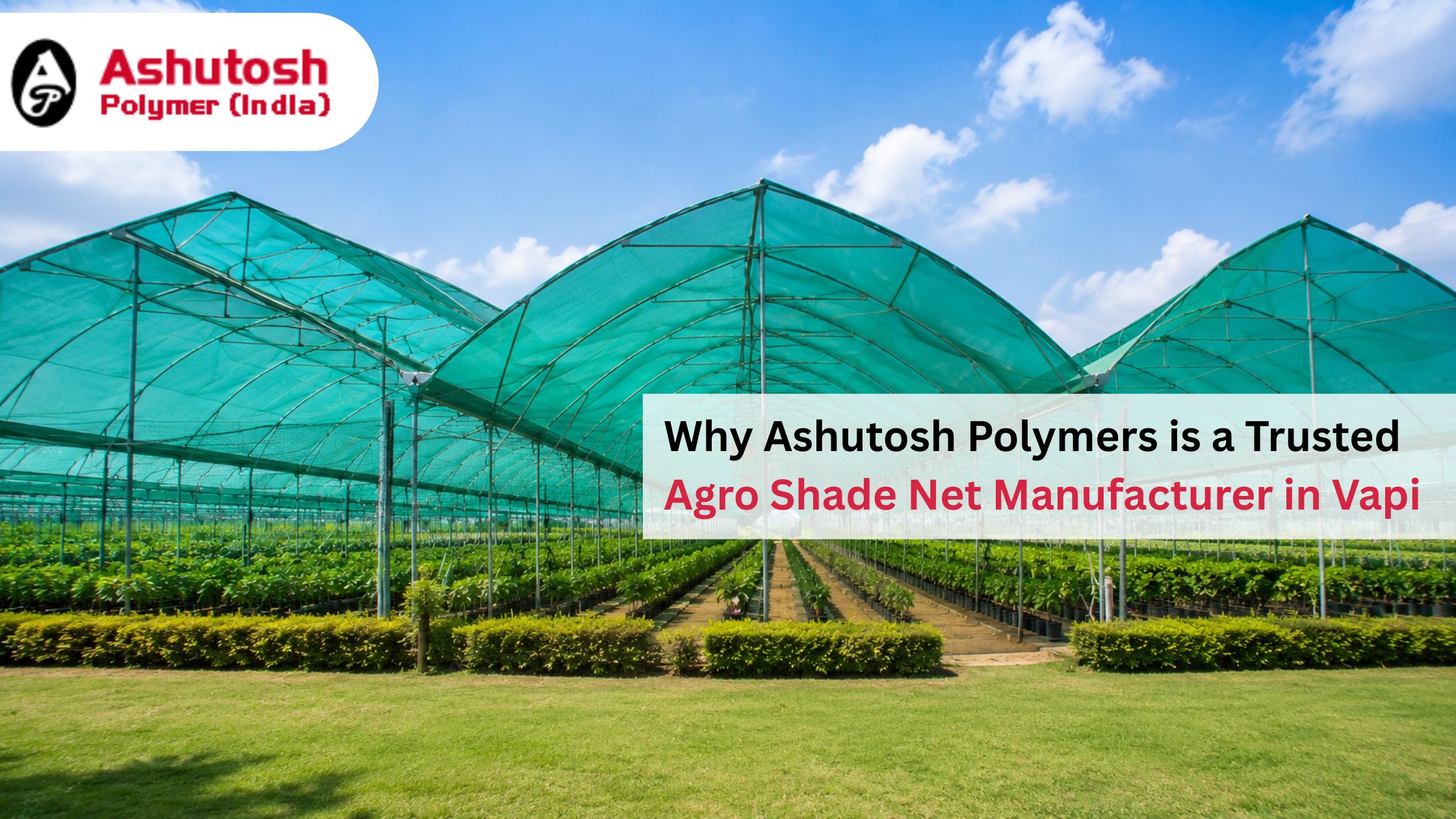 Why Ashutosh Polymers is a Trusted Agro Shade Net Manufacturer in Vapi