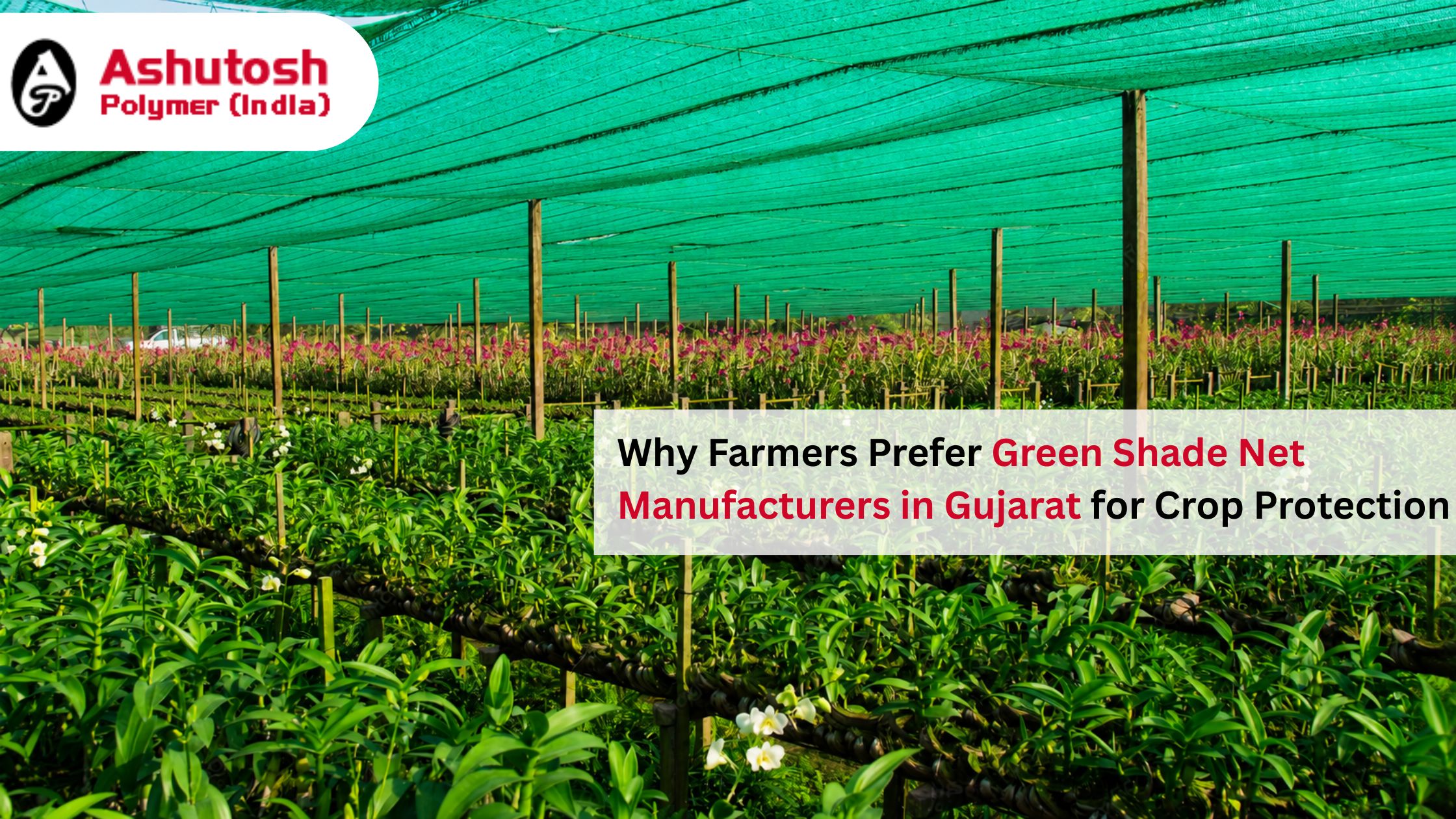 Why Farmers Prefer Green Shade Net Manufacturers in Gujarat for Crop Protection