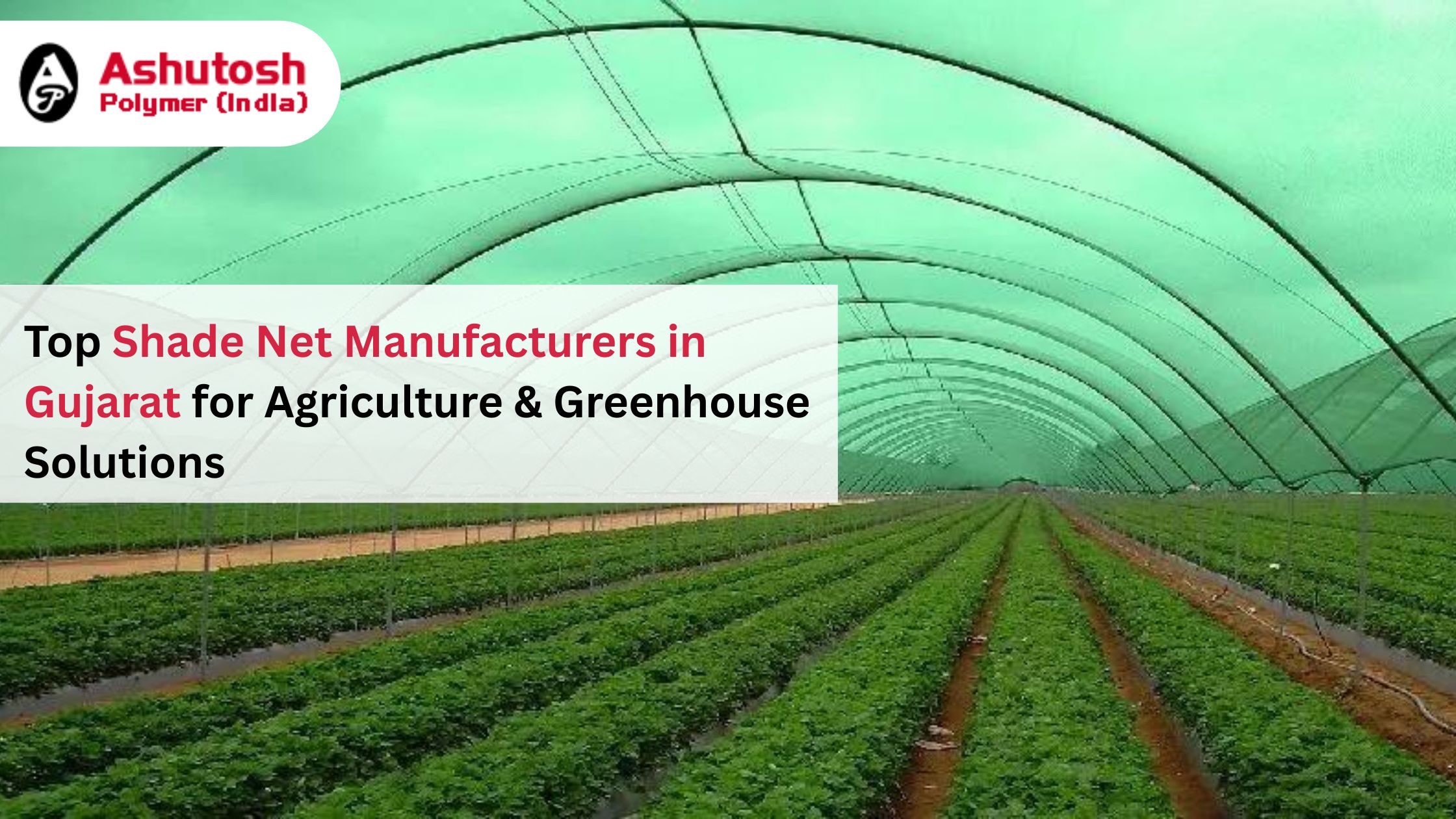 Top Shade Net Manufacturers in Gujarat for Agriculture & Greenhouse Solutions
