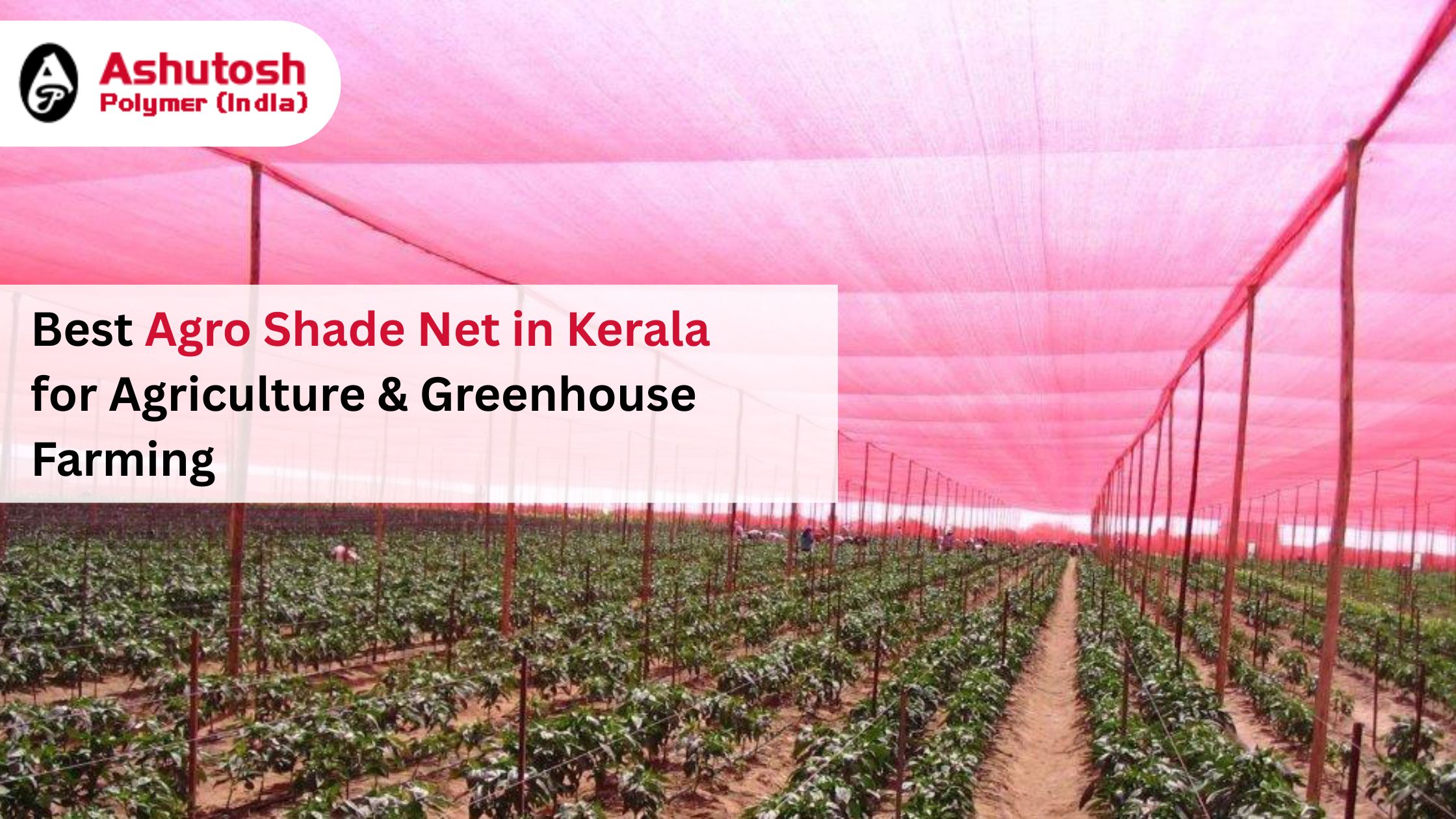 Best Agro Shade Net in Kerala for Agriculture & Greenhouse Farming