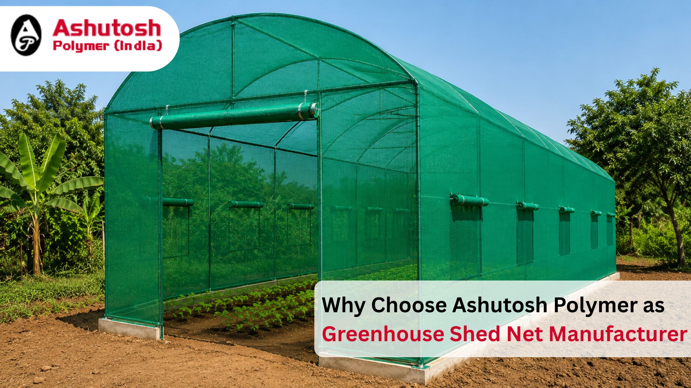 Why Choose Ashutosh Polymer as Greenhouse Shed Net Manufacturer
