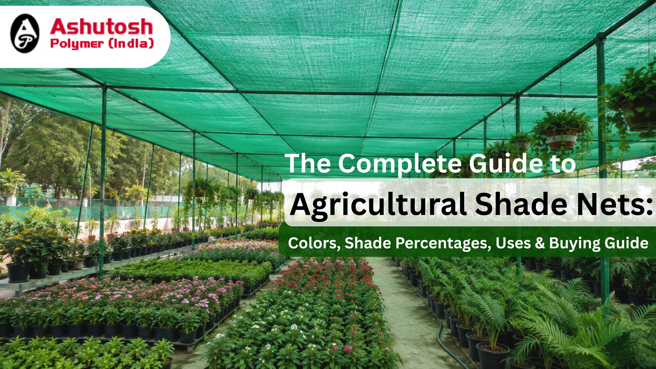 The Complete Guide to Agricultural Shade Nets: Colors, Shade Percentages, Uses & Buying Guide