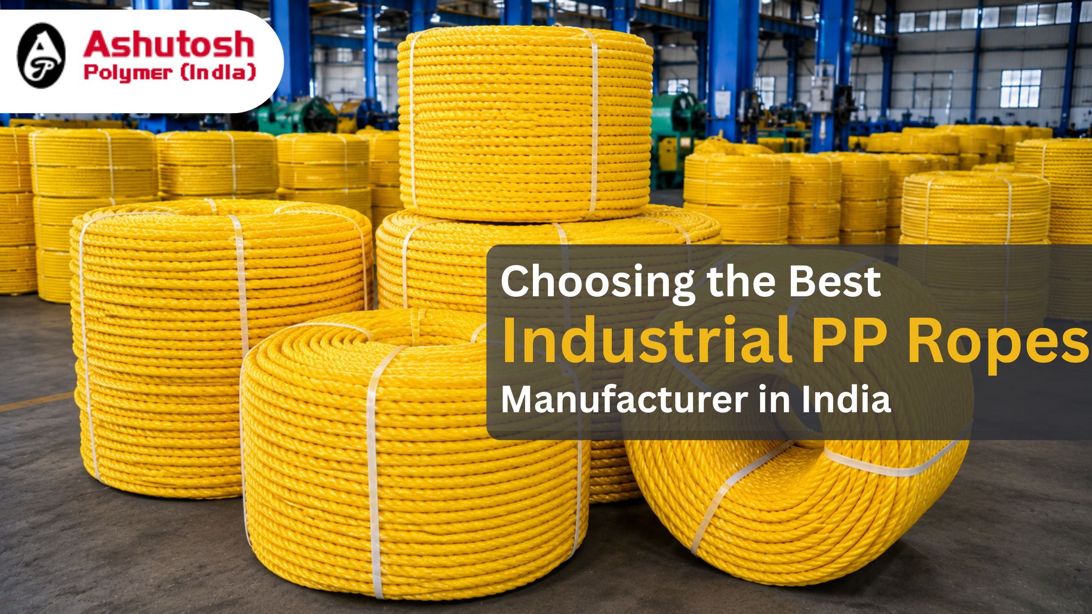 Choosing the Best Industrial PP Rope Manufacturer in India