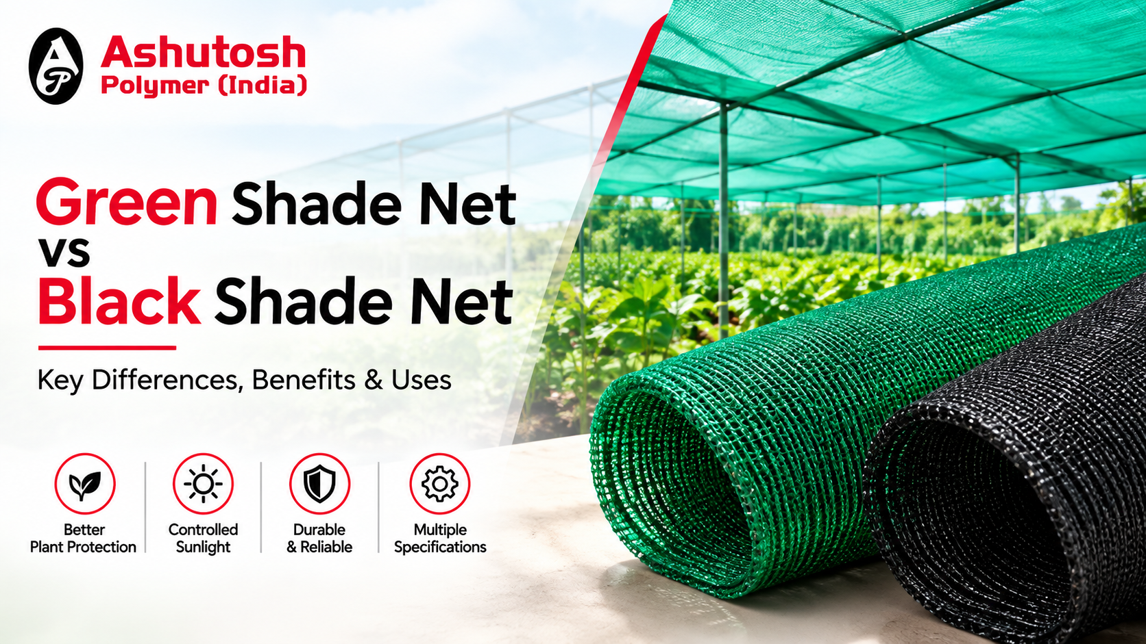 Green Shade Net vs Black Shade Net: Key Differences, Benefits & Uses