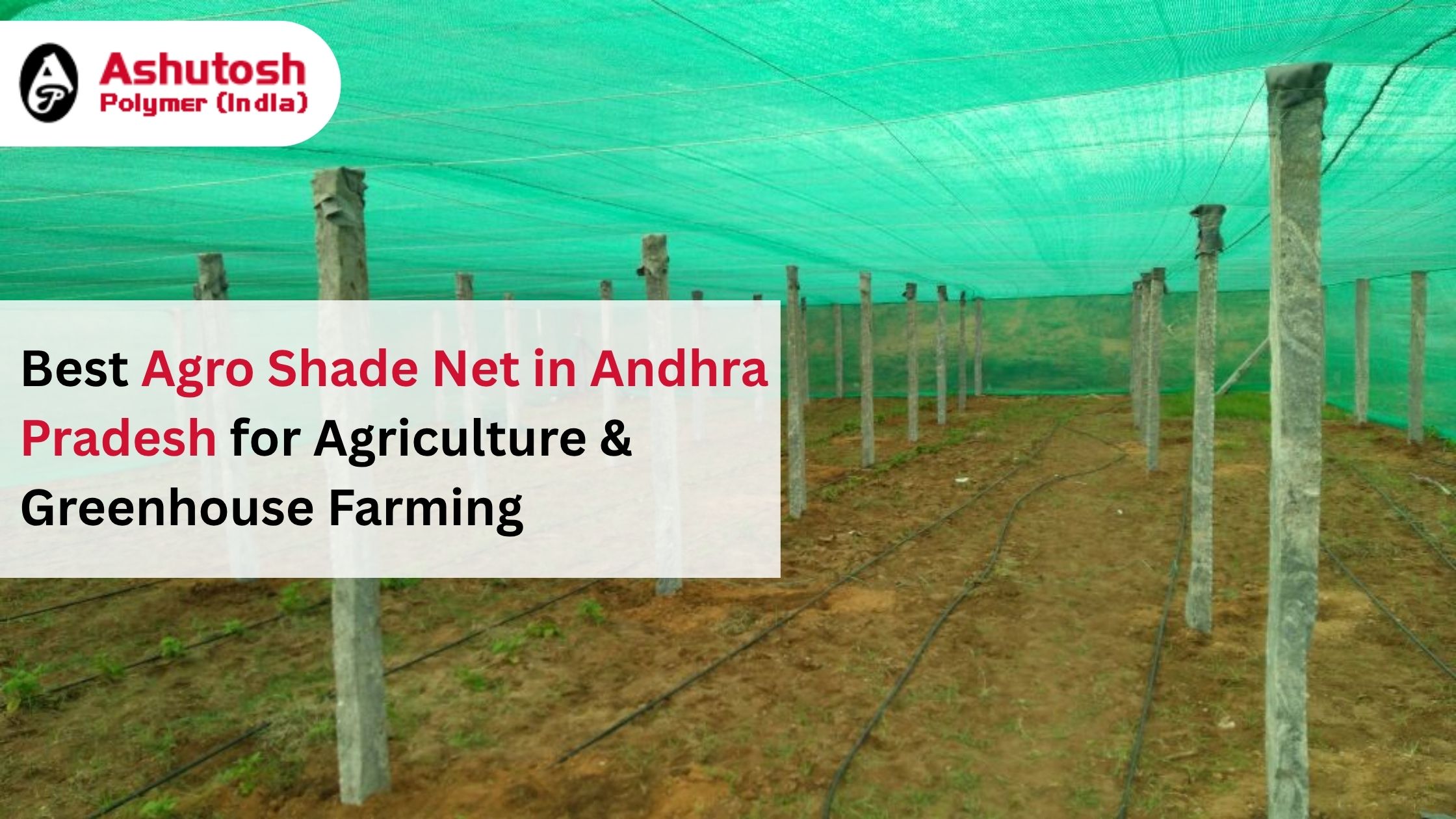 Best Agro Shade Net in Andhra Pradesh for Agriculture & Greenhouse Farming